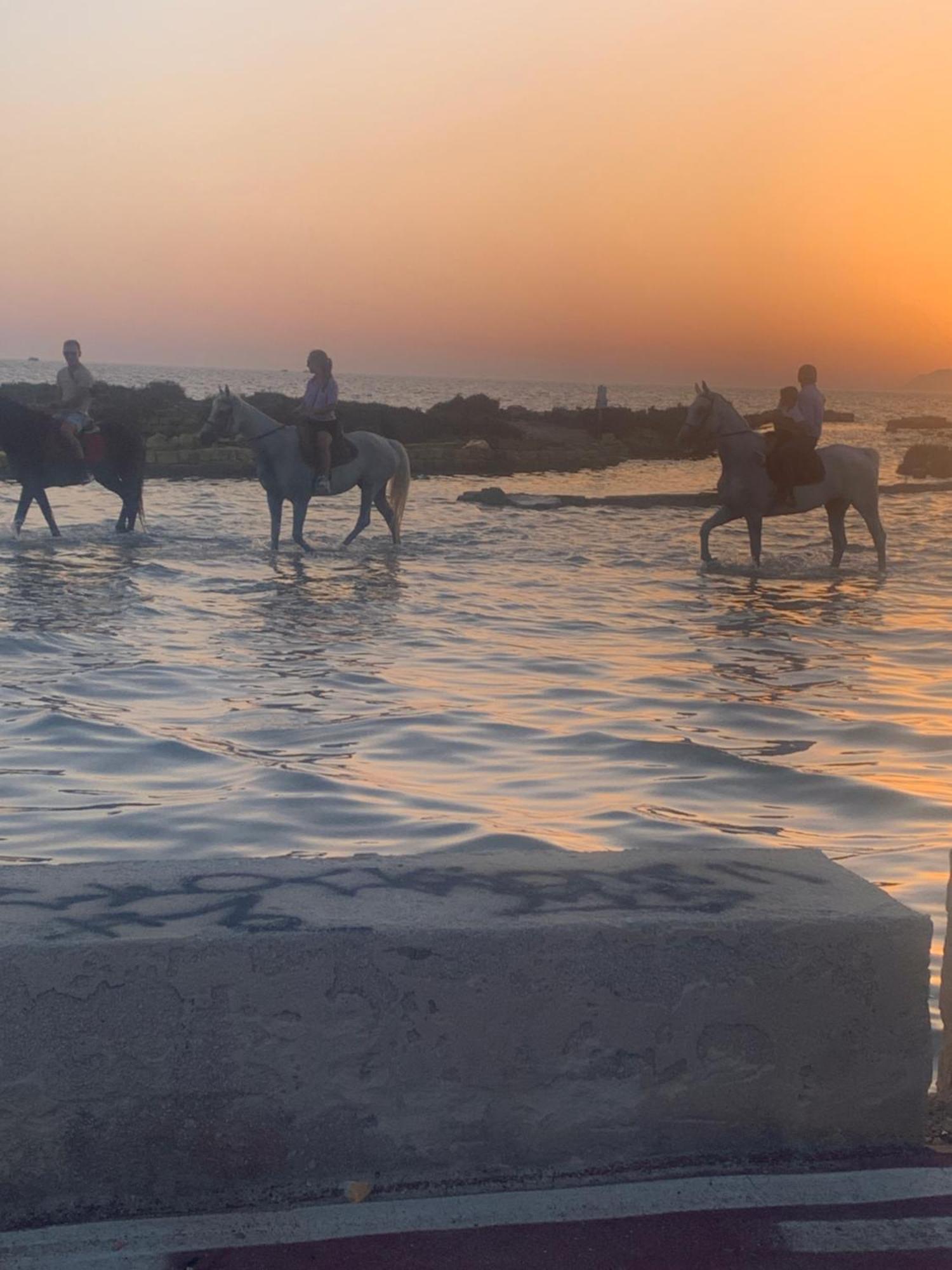 Maresol Villa Marsala Dış mekan fotoğraf